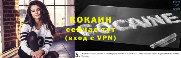 МДПВ Богородск