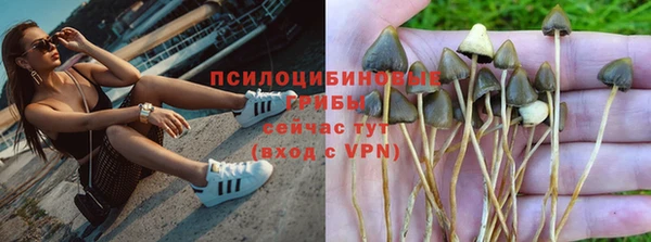 mdpv Богородицк