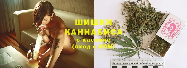 mdpv Богородицк