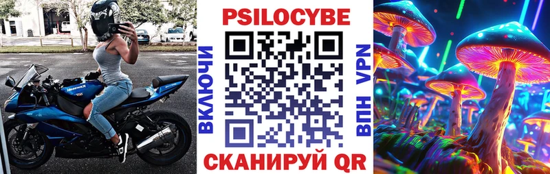 Галлюциногенные грибы Psilocybine cubensis  Подольск 